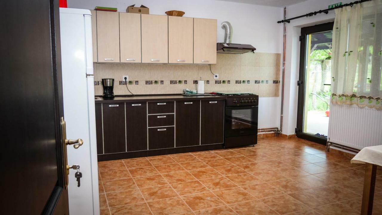 Pensiunea Gradinarilor Cu Ciubar Si Statie De Incarcare Electrica Auto Comanesti  Luaran gambar